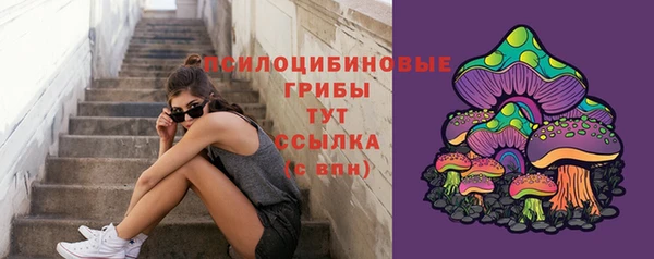 дживик Белоозёрский