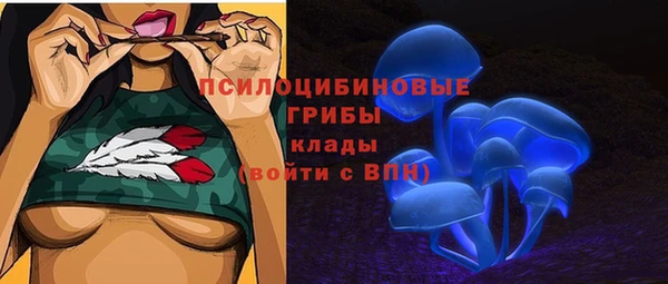 хмурый Белокуриха