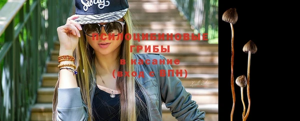хмурый Белокуриха