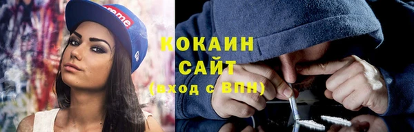 хмурый Белокуриха