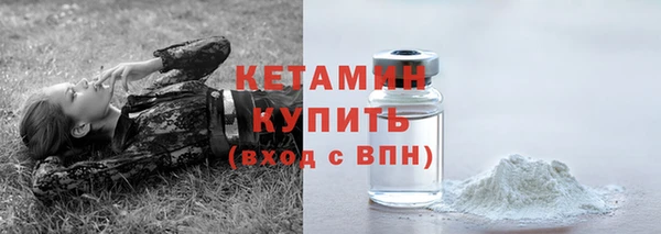 хмурый Белокуриха