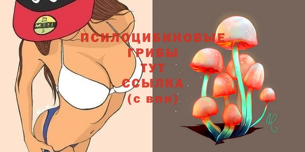 дживик Белоозёрский
