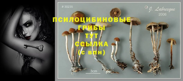 гашишное масло Сосновый Бор