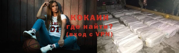 хмурый Белокуриха