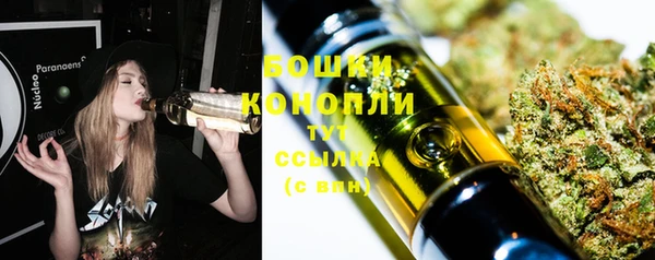 хмурый Белокуриха