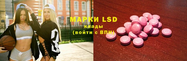 хмурый Белокуриха